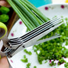 Stainless Steel Herb Scissors